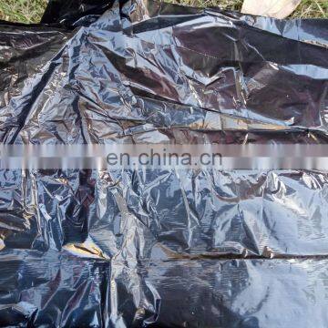 Good quality black agricultural mulching film