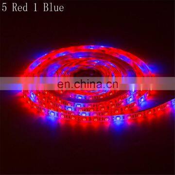 China Led Phyto Lamps DC12v Grow Flexible Light Strip Full Spectrum for Plants Flowers Greenhouses Hydroponic