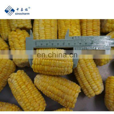 Sinocharm Frozen vegetable NON GMO Length 3-5cm 6-8cm IQF Frozen Sweet Corn Cut