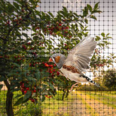 PP Roof Monitor Bird Screen Extruded Green 8gsm Anti Bird Net Mesh for Farm Orchard