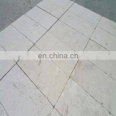 Customizable Luxury Decoration Premium Quality Jura Classic Fossil Honed Limestone Tiles Stone Made in Turkey CEM-P-62-12