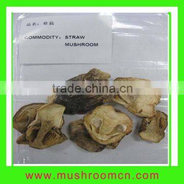 Straw Mushroom