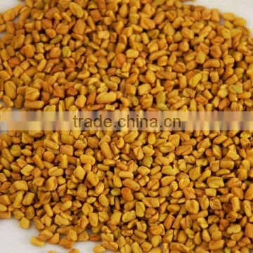 Indian Fenugreek Seeds