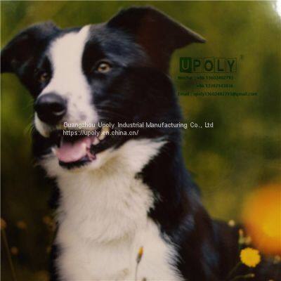 PVC Transparent Gloss Cold Lamination Film Photo Protective Film photo-3