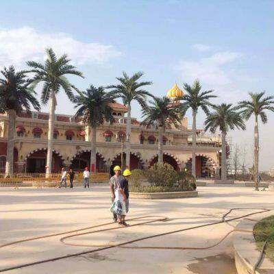 Customization Make High Quality Artificial Coconut Palm Tree for School Decoration 5 Meters Simulation Bonsai Palm Trees photo-3