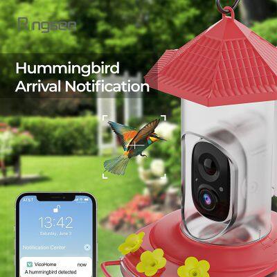 Ringsee Auto Bird Feeder Camera IP65 Waterproof Wireless WIFI IR Night Vision Bird Feeder Camera for Outdoor photo-2