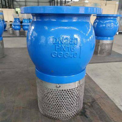 ANSI B16.10 Flanged Foot Valve with NBR/EPDM Seat for Water Systems