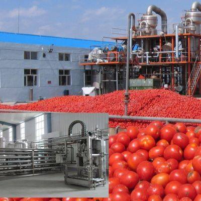 Automatic Packing Machine Fruit Juice Paste Jam Production Line