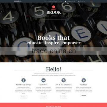 Website Design photo-2