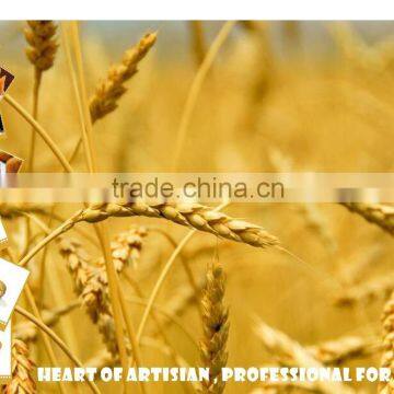 SY-900 Filling Frozen Coxinha Making Machine photo-3