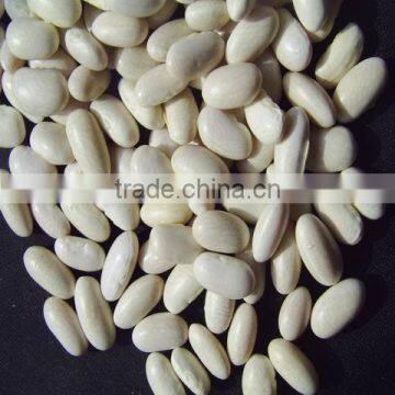 baishake white kidney bean