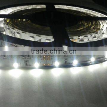 New Arrival! 5050 12v 30leds/60leds Rgbw LED Tape/LED Strips Made in China photo-3