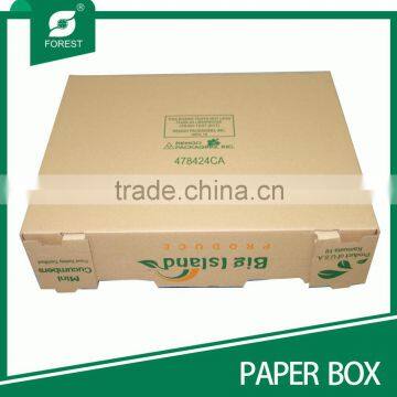 BROWN PRINTED PAPER TRAY FOR VEGETABLE LIKE MINI CUCUMBERS photo-4