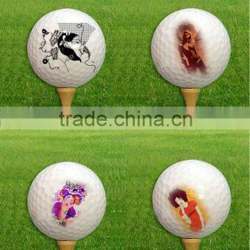 Golfball Printer! Automatic Working Online!