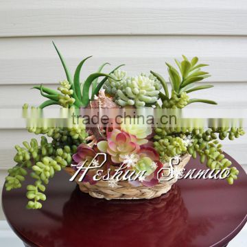 hot sell artificial potted tropical mini succulent for sale