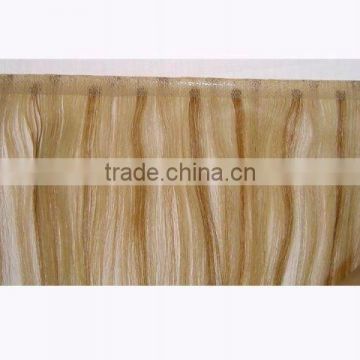 skin weft human hair extension/hair/wigs/hair extension