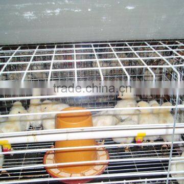 chicken battery cages