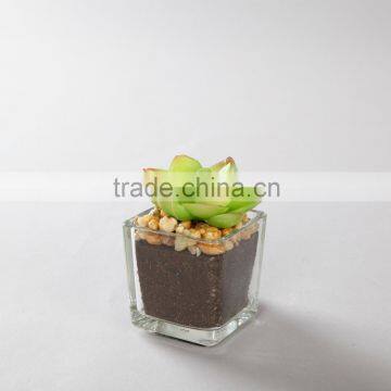 Flora Bunda Outdoor Decor Wholesale Artificial Potted Succulent Plants in glass pot