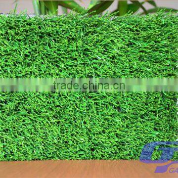 High Quality XGP Sport Ground Use Green Grass