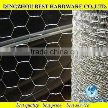 galvanzied hexagonal wire netting for chicken