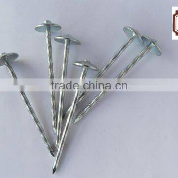 Umberlla Roofing Nail From China Supplier