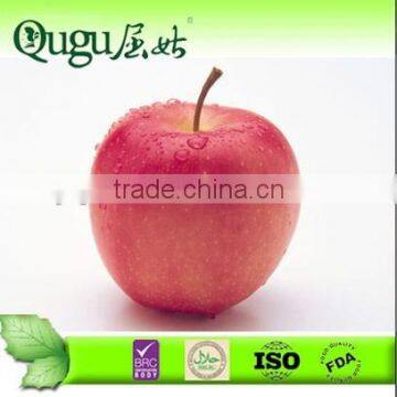 Sweet and Healthy Huaniu Apple from Gansu, China