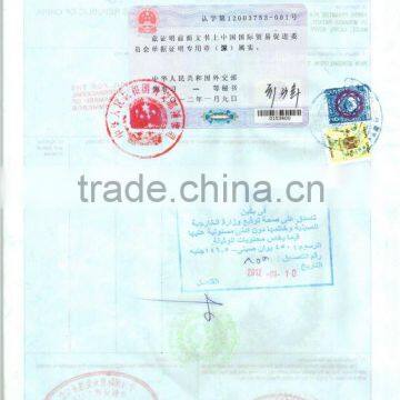 Shipping From Jiangmen to Egypt Certificate of Origin photo-4