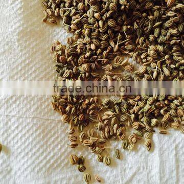 Ajwain Seed photo-2