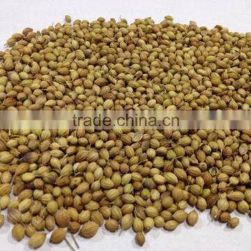 Europe Quality Cumin Seed