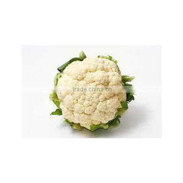 CAULI FLOWER