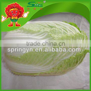 2015 Year the Good Quality Fresh Chinese Cabbage photo-2