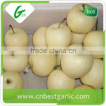 2016 New china bulk fresh crown pear