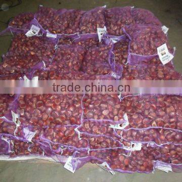 good quality frosen chestnut kernel for 2013