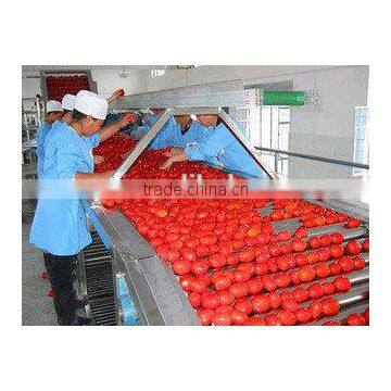 28-30% Cold Break Tomato Paste Factory China photo-6