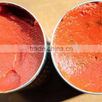 bulk tomato paste Tomato Sauce reasonable price canned tomato paste