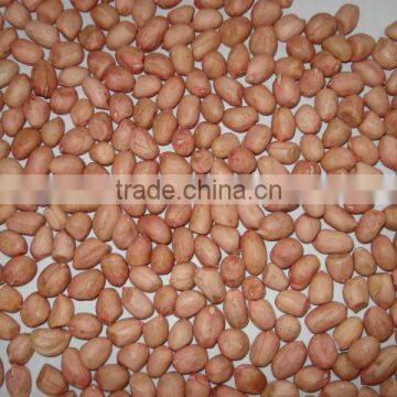 Chinese peanut kernels