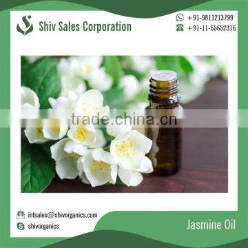High Grade Best Seller Jasmine Oil at Wholesale Price