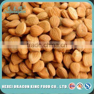 Organic Apricot kernel