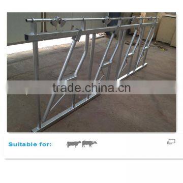 Hot Dipped Galvanized Dairy Cow Head Locks photo-6