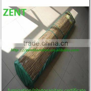 ZENT-37 Bamboo curtain