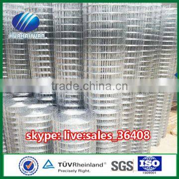 5x5 galvanized bird cage welded wire mesh roll high zinc coated factory price