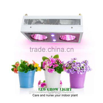 Low Price Aaa Quality High Power Hydroponic Grow Medium From Shenzhen Factory