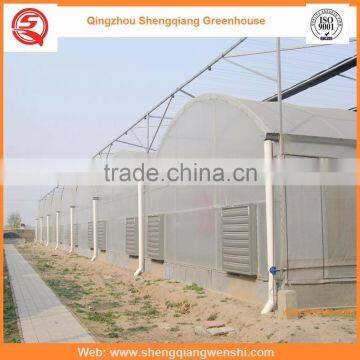 Agriculture Equipment Multi-span 12m Plastic PE Film Agriculture Greenhouse for Sale photo-6