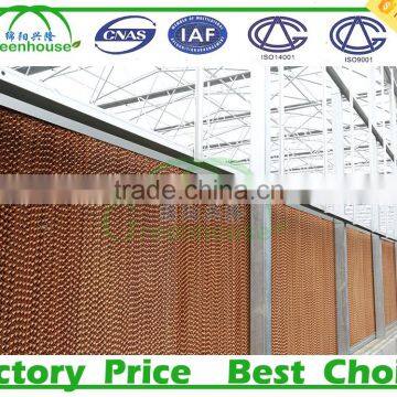 Industrial Evaporative Cooling Pad Water Air Cooler Price