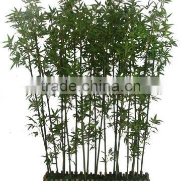 Fake Bamboo Plant Sticks ,Artificial Bamboo Poles Lucky Bamboo Garden Decorative photo-5