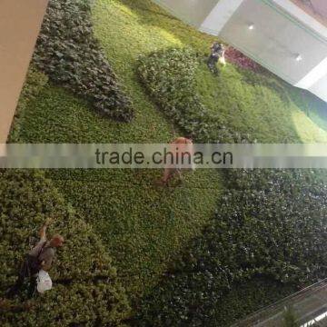 Outside Wall Plants Decoration photo-3