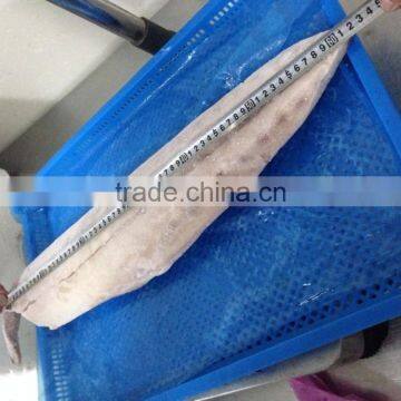 Frozen Mahi Mahi Fillet photo-4