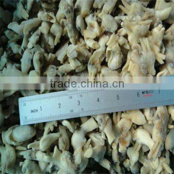 Frozen and Live Razor Clams