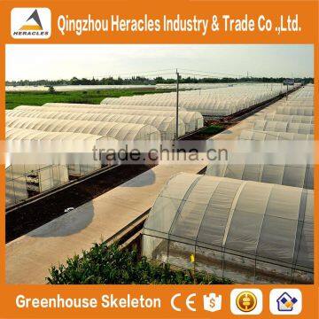 Heracles Trade Assurance Tropical Area Used Greenhouse photo-6