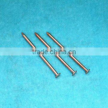 11 GA Brass Nail photo-2